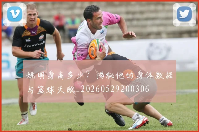 姚明身高多少?揭秘他的身体数据与篮球天赋_20260529200306